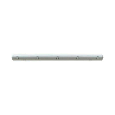   PROMLED  40 1250  12~24 AC/DC CRI70 3000  (,   )