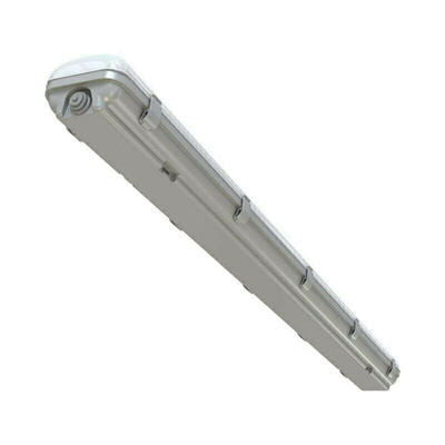   PROMLED  40 1250  12~24 AC/DC CRI70 3000  (,   )