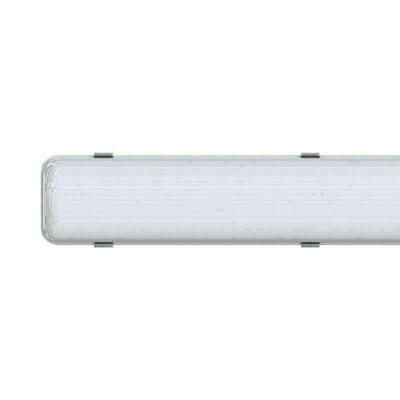  PROMLED  60 1250 5000  (,     60  5000 IP65)