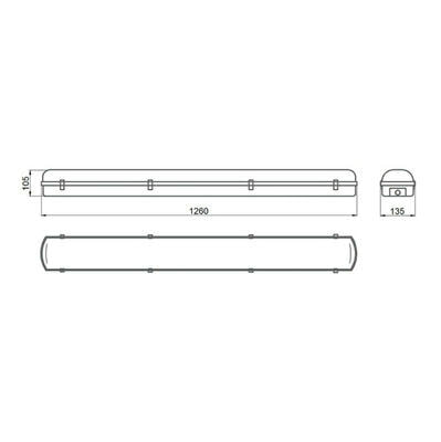   PROMLED  80 L CRI70 5000 12565   (,  1)