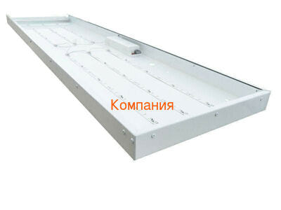   1195*295 NOVOVEK  1200*300  55 (,  4)