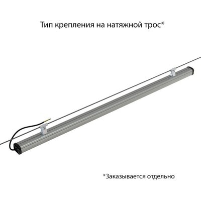   PROMLED -  50 1500 CRI70 5000  (,    50 )