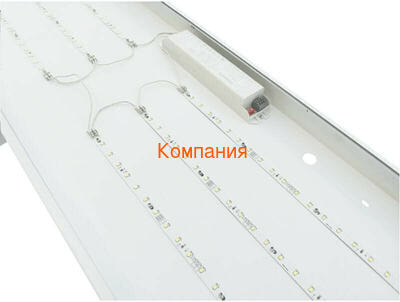   1195*595 NOVOVEK  1200*600  100 (,  4)