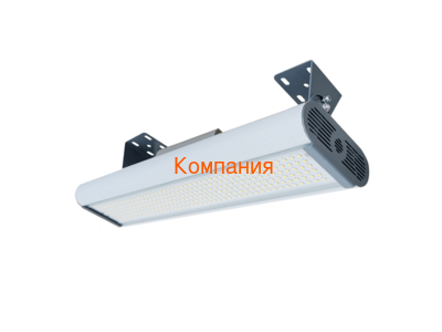   NOVOVEK  ̻, -1, 90 (,  1)