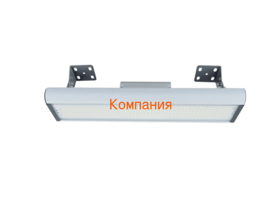   NOVOVEK  ̻, -1, 96 (,  2)