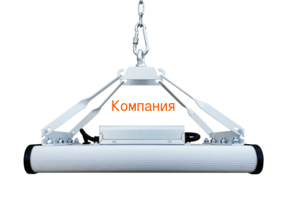   NOVOVEK ,  -2, 140  (,     140 )