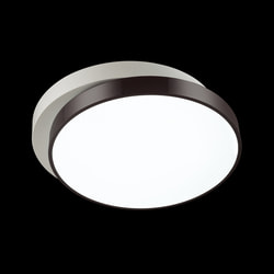   LUMION 4509/72CL LEDIO LN20 095.  2