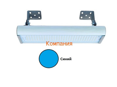   NOVOVEK  20  ()