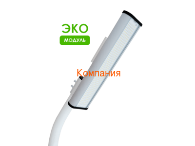   NOVOVEK  λ,  -1, 96 (,     96 )