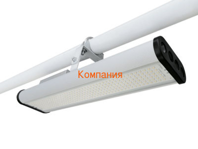   NOVOVEK ,  -1, 96 ()