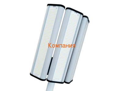   NOVOVEK ,  -3, 300 ()