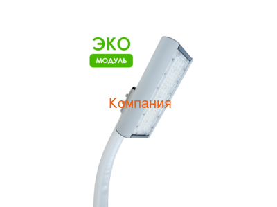   NOVOVEK   λ, 17/50 (,      50 )