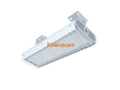    NOVOVEK -2 40 (,    40 )