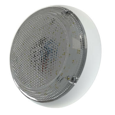 -  PROMLED   12 IP54 CRI70 3000  ()