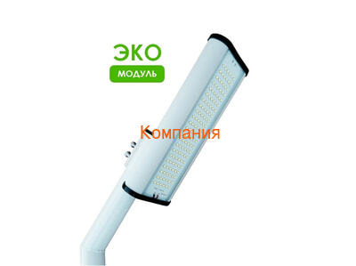   NOVOVEK  λ,  -1, 55