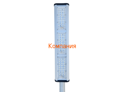   NOVOVEK   λ 100 (,    100 )