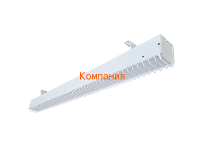    NOVOVEK -4 50, 1500 (,       )