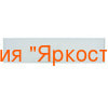     1200*300